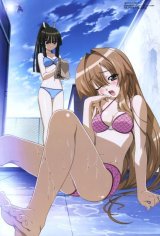 BUY NEW seto no hanayome - 132742 Premium Anime Print Poster